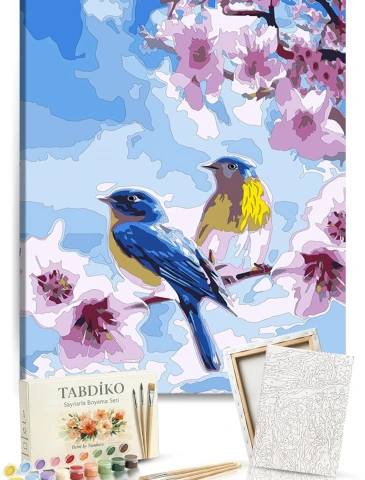 Sayılarla Boyama Seti 40 x 50 cm Tuval Şasesine Gerili Bahar Dalında Kuşlar