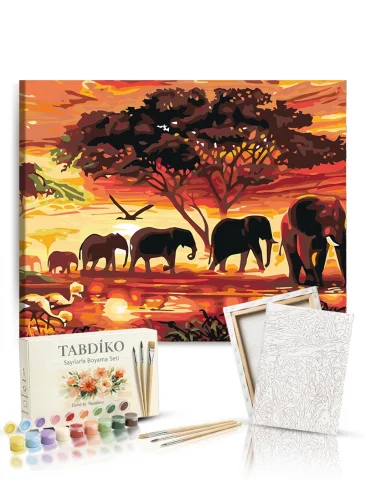 Sayılarla Boyama Seti 40 x 50 cm Tuval Şasesine Gerili Filler