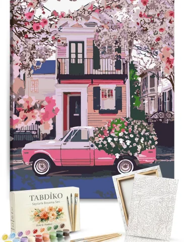 Sayılarla Boyama Seti 40 x 50 cm Tuval Şasesine Gerili Araba Kasasındaki Çiçekler