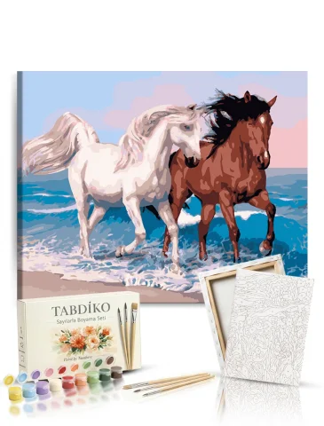 Sayılarla Boyama Seti 40 x 50 cm Tuval Şasesine Gerili Atlar