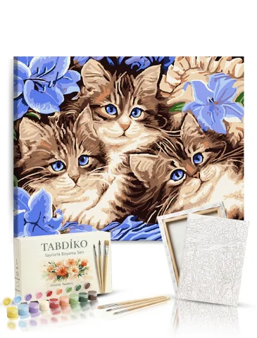 Sayılarla Boyama Seti 40 x 50 cm Tuval Şasesine Gerili Boncuk Kediler