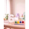 6 Rakamı Taş Boyama Hobi Seti