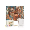 Sayılarla Boyama Seti 40 x 50 cm Tuval Şasesine Gerili Baykuşlar