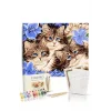 Sayılarla Boyama Seti 40 x 50 cm Tuval Şasesine Gerili Boncuk Kediler