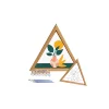Sayılarla Minimalist Ahşap Çerçeveli Hobi Tablo Setleri 27 x 31 cm Tuval Şasesine Gerili Üçgen Saksıdaki Bitki