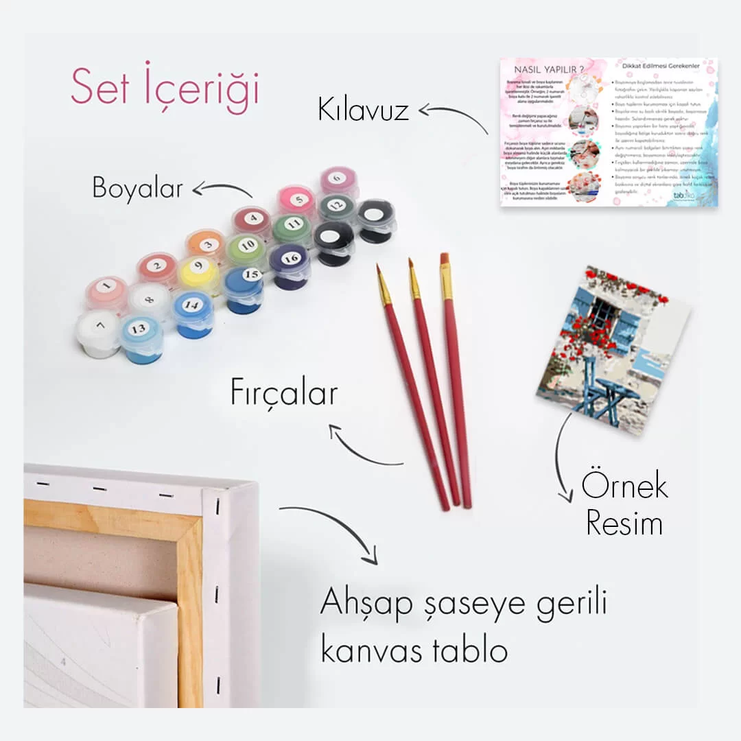 Sayılarla Boyama Seti 40 x 50 cm Tuval Şasesine Gerili Çiçekli Kediler