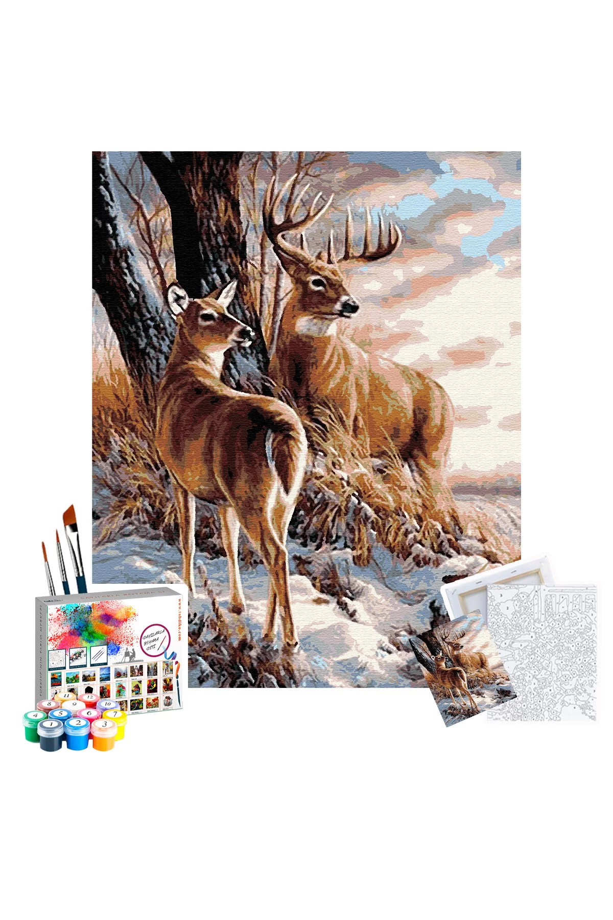 Sayılarla Boyama Seti 40 x 50 cm Tuval Şasesine Gerili Geyik Ve Ceylan