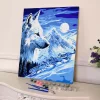 Sayılarla Boyama Seti 40 x 50 cm Tuval Şasesine Gerili Kurtların Rüyası