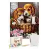 Sayılarla Boyama Seti 40 x 50 cm Tuval Şasesine Gerili Yavru Köpekler