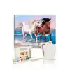 Sayılarla Boyama Seti 40 x 50 cm Tuval Şasesine Gerili Atlar
