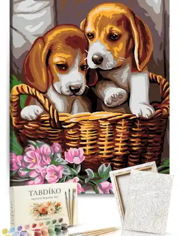 Sayılarla Boyama Seti 40 x 50 cm Tuval Şasesine Gerili Yavru Köpekler