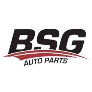 BSG