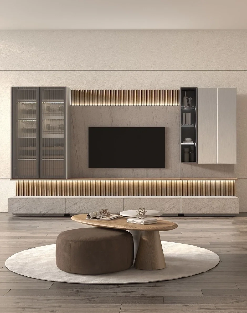 Case TV Unit