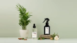 Green Tea Spray Room Fragrance 250 ml
