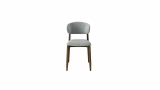 Lionte Chair Gray Fabric