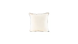 Border Cream Black Cushion