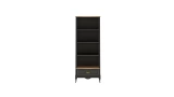 Angelic Dark Youth Bookcase