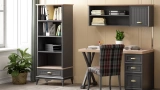 Angelic Dark Youth Bookcase