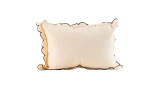 Village Cream Black Cushion