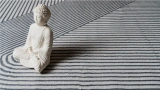 Lionte Bedroom Carpet 200x290