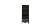 Angelic Dark Youth Bookcase