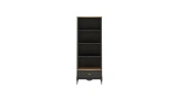 Angelic Dark Youth Bookcase