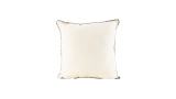 Border Cream Black Cushion