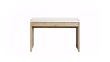 Nigero Youth Study Desk