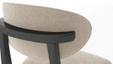 Lionte Chair