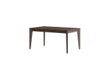 Armin Extendable Table