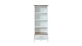 Angelic Bookcase