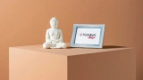 Budha Kokulu Dekoratif Taş
