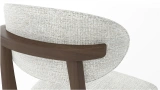 Lionte Chair