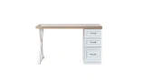 Angelic Youth Study Desk