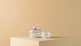 Voronoi Object - White