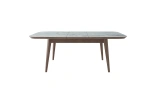 Lionte ExtendableTable 170.210x100 cm