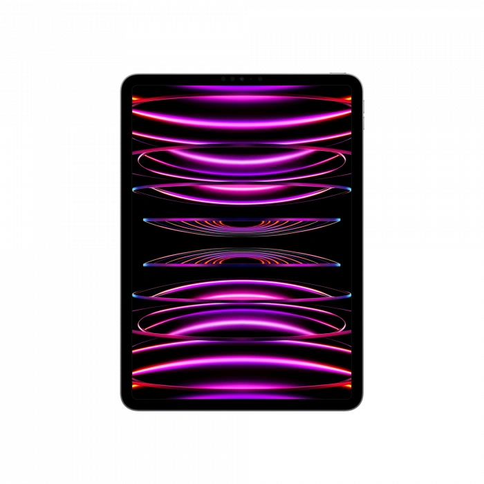 APPLE iPad Pro 11 (2022) WF 1TB Uzay Grisi Tablet