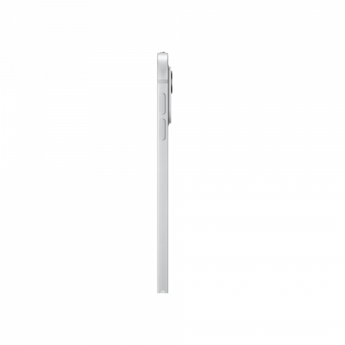 APPLE iPad Pro WiFi 256GB 11inch Standrt Gümüş Tablet
