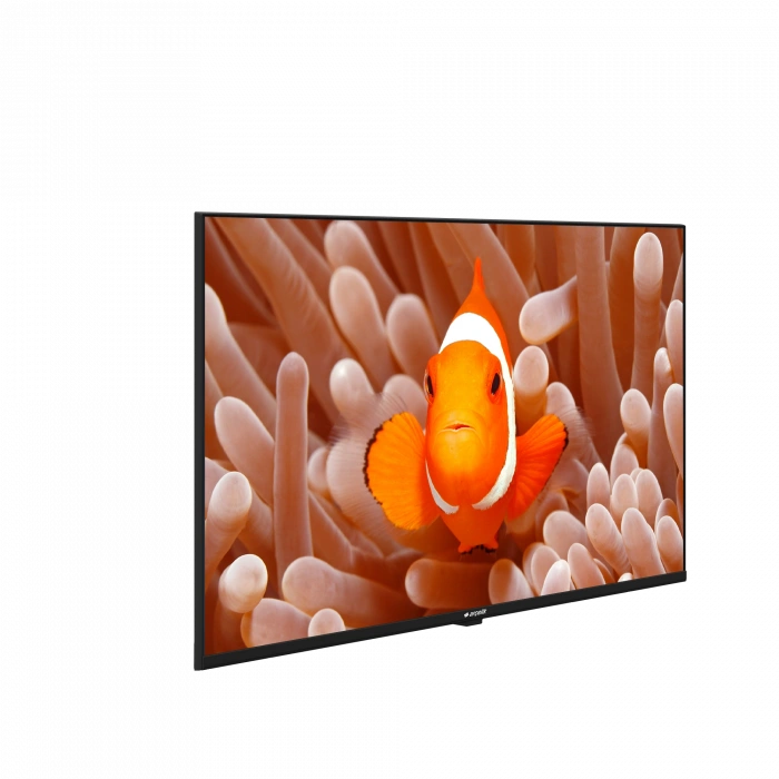ARÇELİK A43K 586 HOTEL TV Hotel Tv