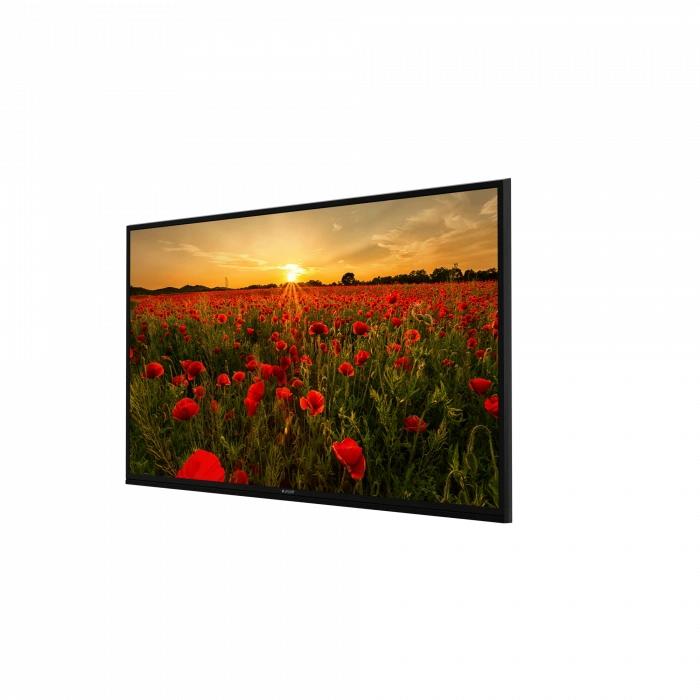 ARÇELİK A65K 780G HOTEL TV