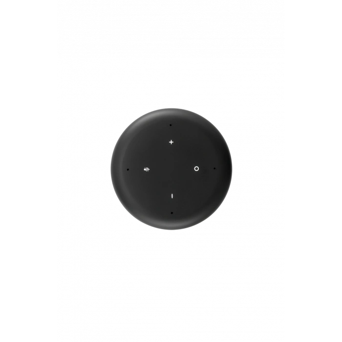 ARÇELİK Asista ADA101 Black-Black Akıllı Asistan