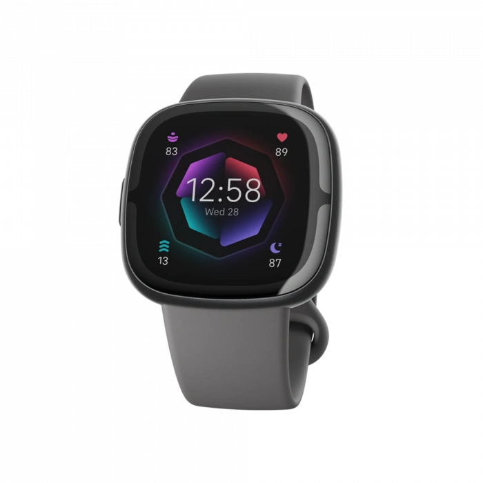 FITBIT Fitbit Sense 2 Siyah/Gri Akıllı Bileklik