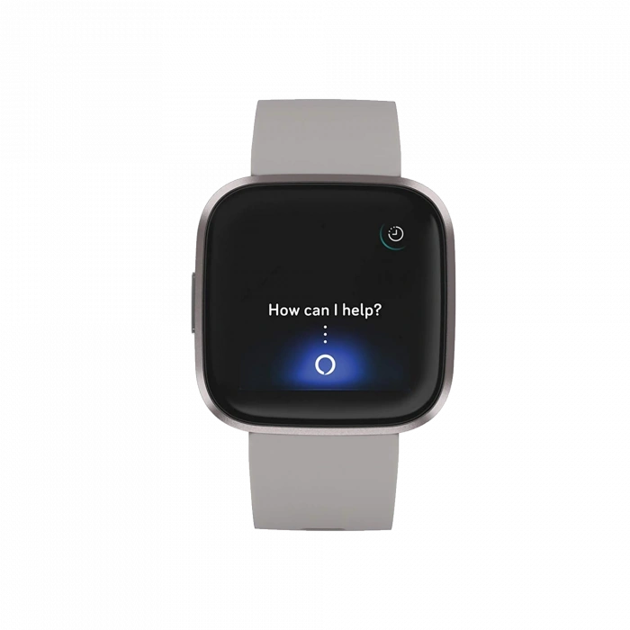 FITBIT FITBIT VERSA 2 Stone / Mist Grey Giyilebilir Teknoloji