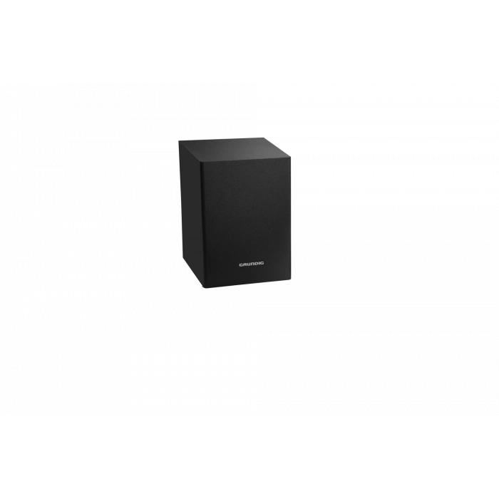 GRUNDIG GRUNDIG DSB 995 Grundig Hoparlör