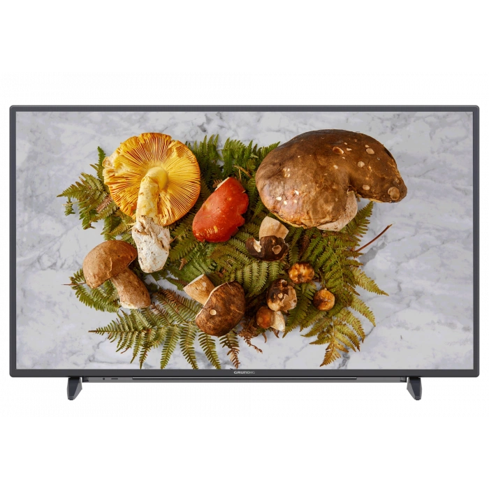 GRUNDIG GRUNDIG Moskova 49 CLX 7820 BP Grundig TV