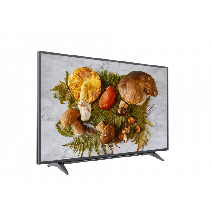 GRUNDIG GRUNDIG Moskova 49 CLX 7820 BP Grundig TV