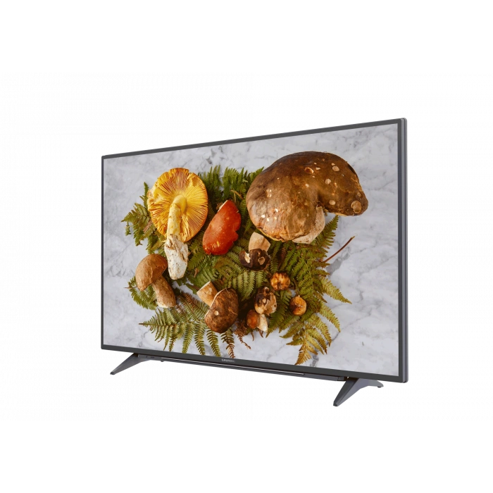 GRUNDIG GRUNDIG Moskova 55 CLX 7820 BP Grundig TV