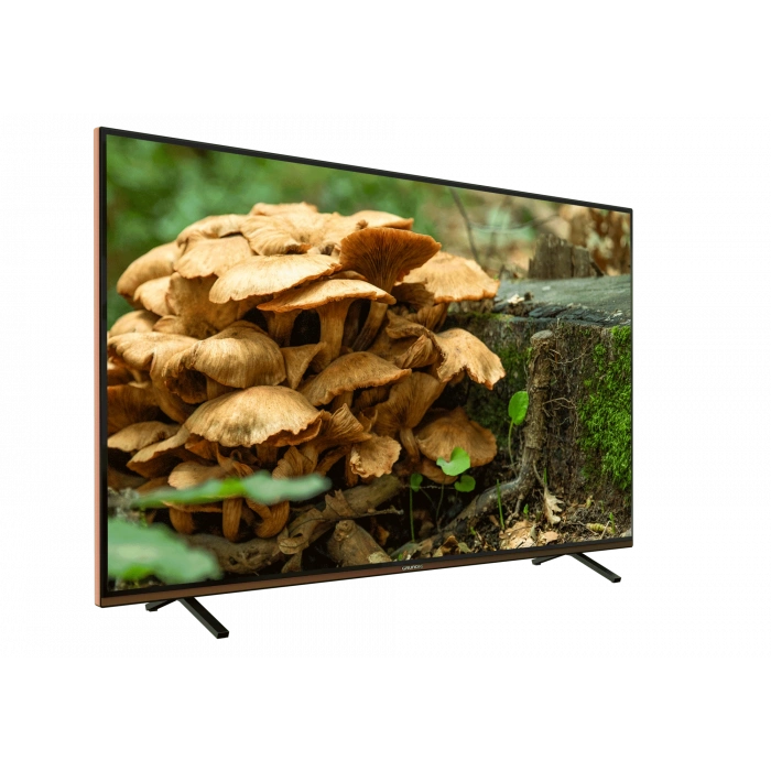 GRUNDIG GRUNDIG PARIS 55 CLX 8675 BP Grundig TV