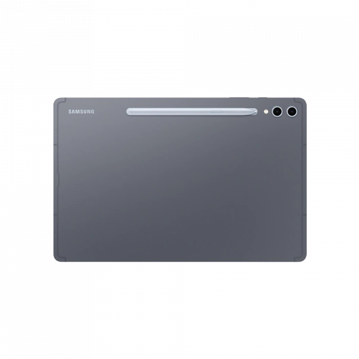 SAMSUNG Samsung Galaxy Tab S10 Plus 256GB Gri Tablet