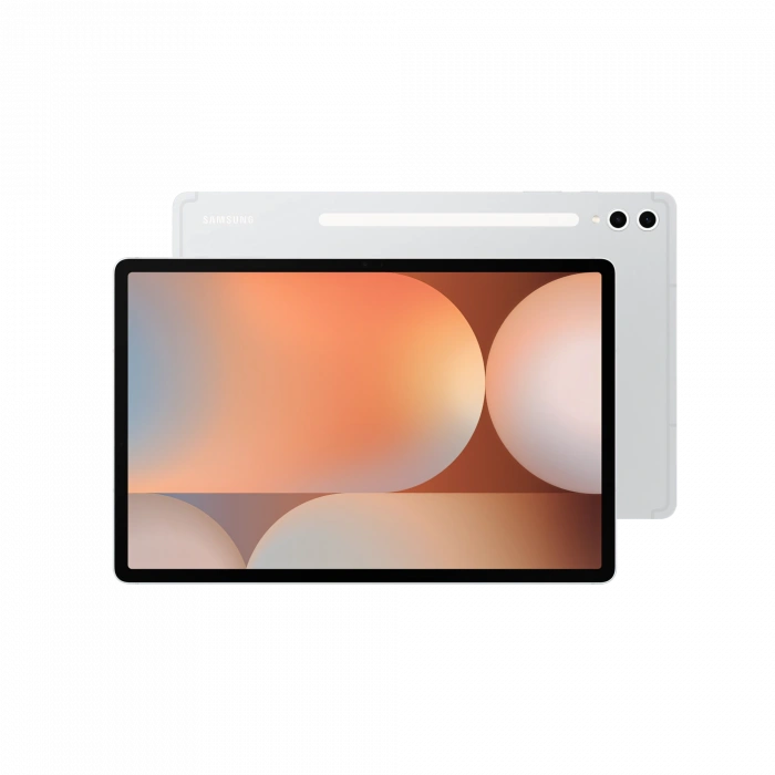 SAMSUNG Samsung Galaxy Tab S10 Plus 256GB Gümüş Tablet